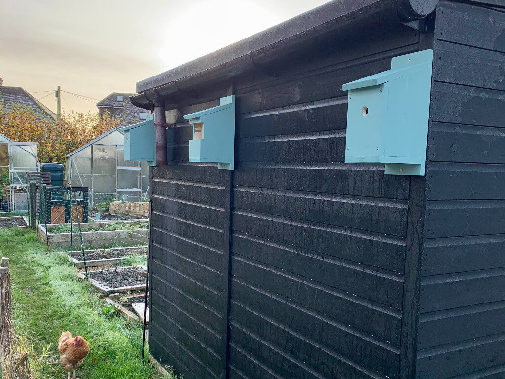 End result of the blue bird box hanging on a wall.