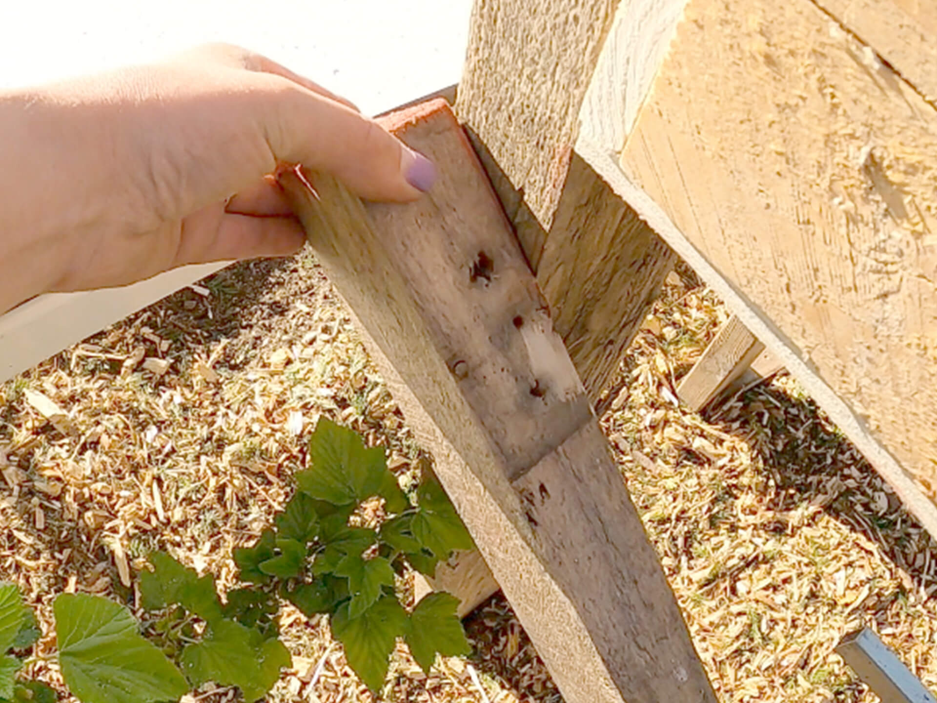 Wood piece getting attached onto another wood piece. 