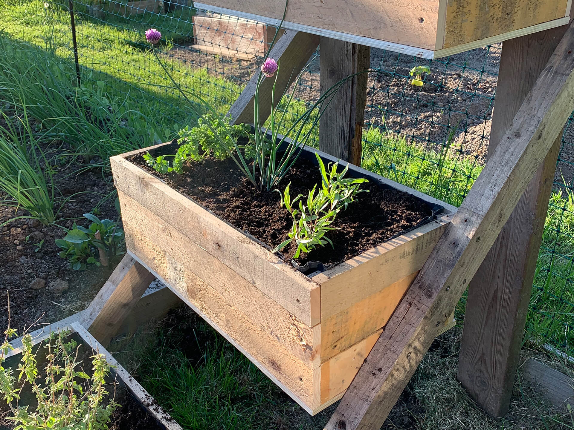 End result of the herb planter. 