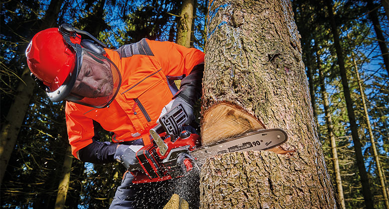 man with chainsaw sawing down a tree